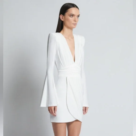 NWT ZHIVAGO THE FAN DRESS Size 6 - Picture 4 of 15